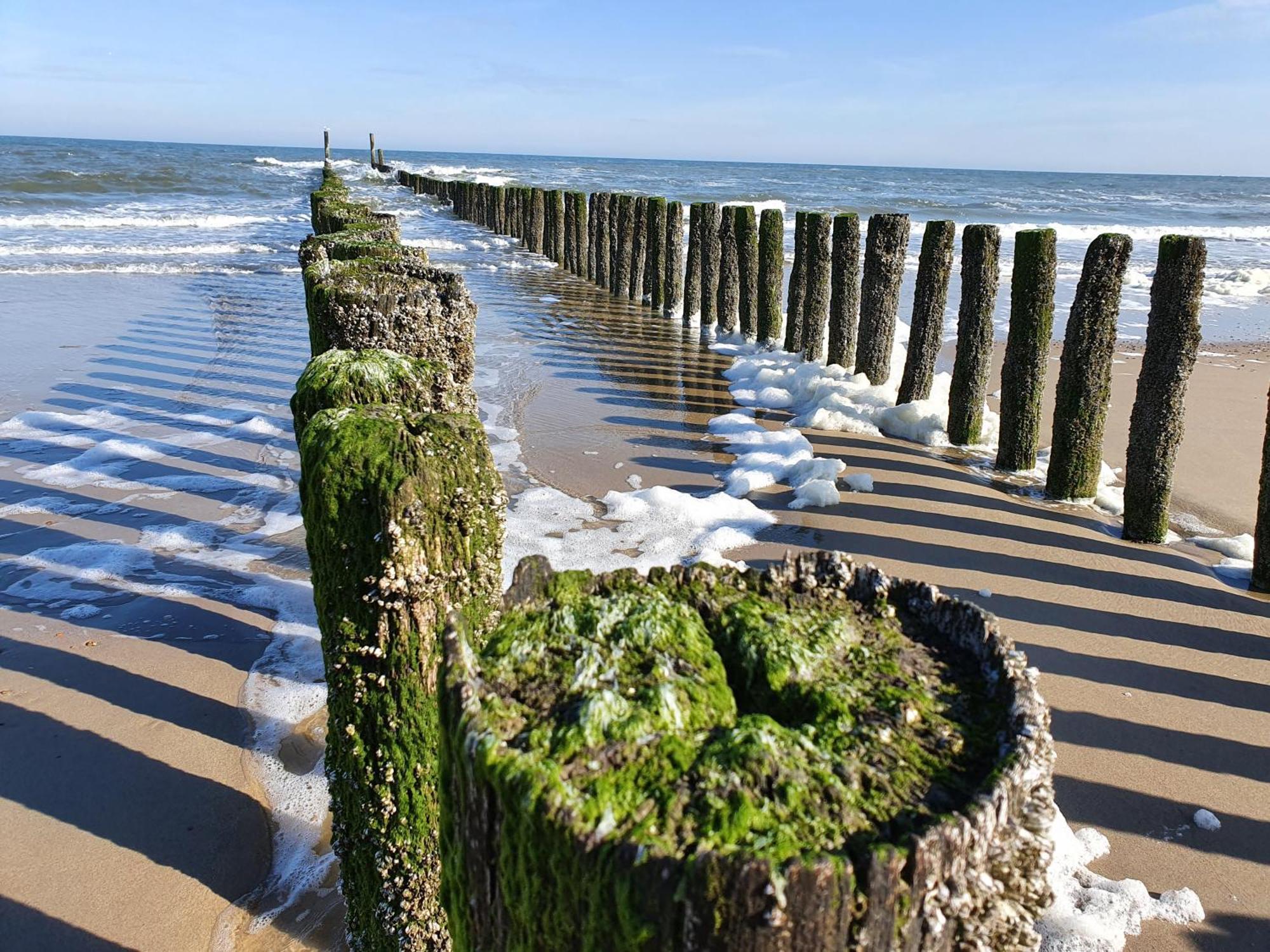 Studio Aan Zee โอชต์คาเปลเล ห้อง รูปภาพ