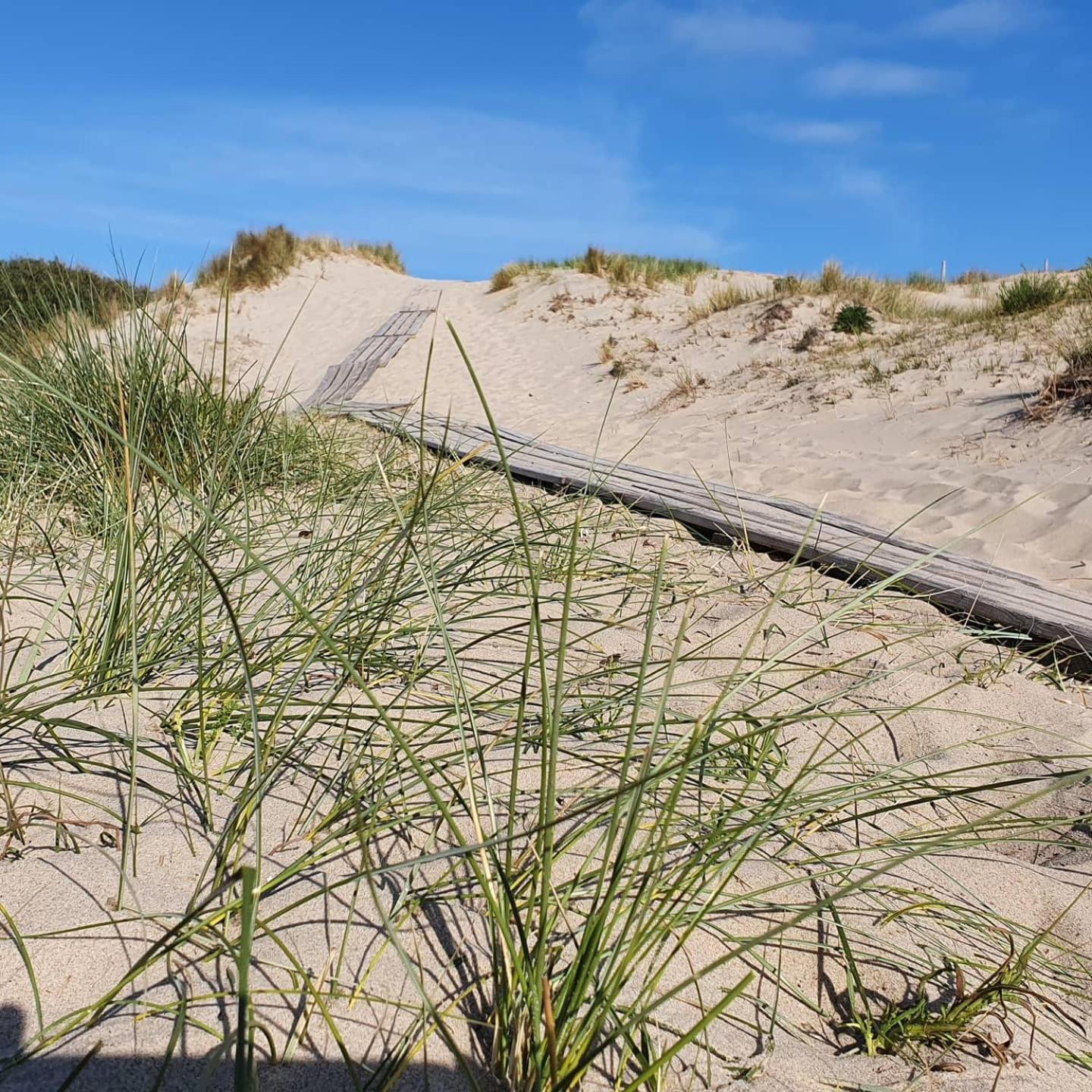 Studio Aan Zee โอชต์คาเปลเล ห้อง รูปภาพ